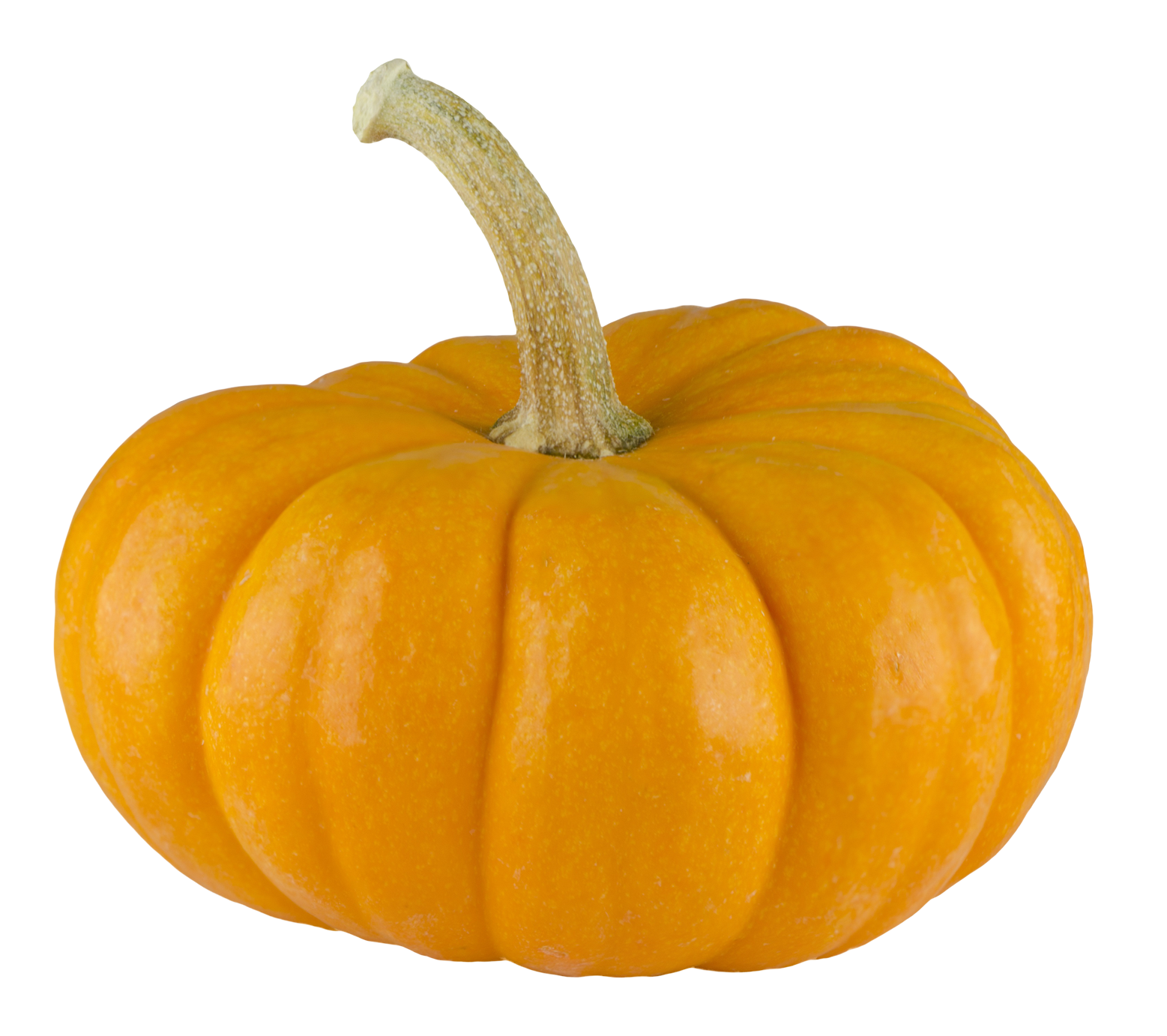 Detail Pumpkins Transparent Background Nomer 26