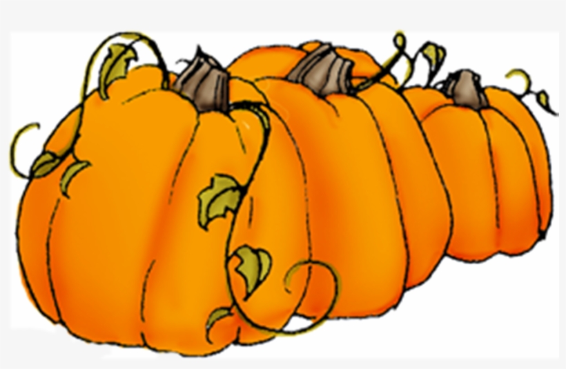 Detail Pumpkins Transparent Background Nomer 27