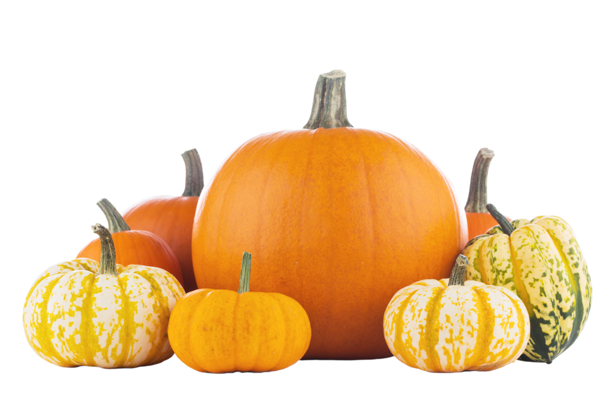 Detail Pumpkins Transparent Background Nomer 30