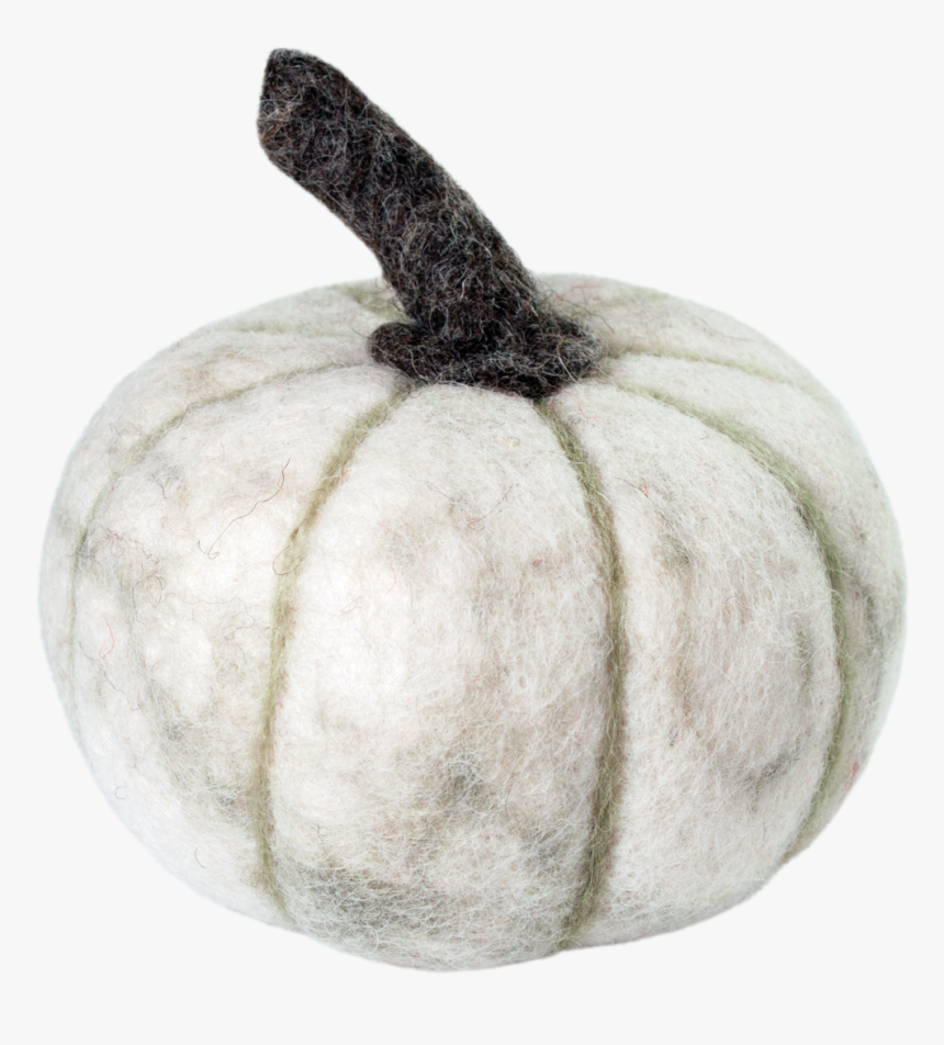Detail Pumpkins Transparent Background Nomer 32