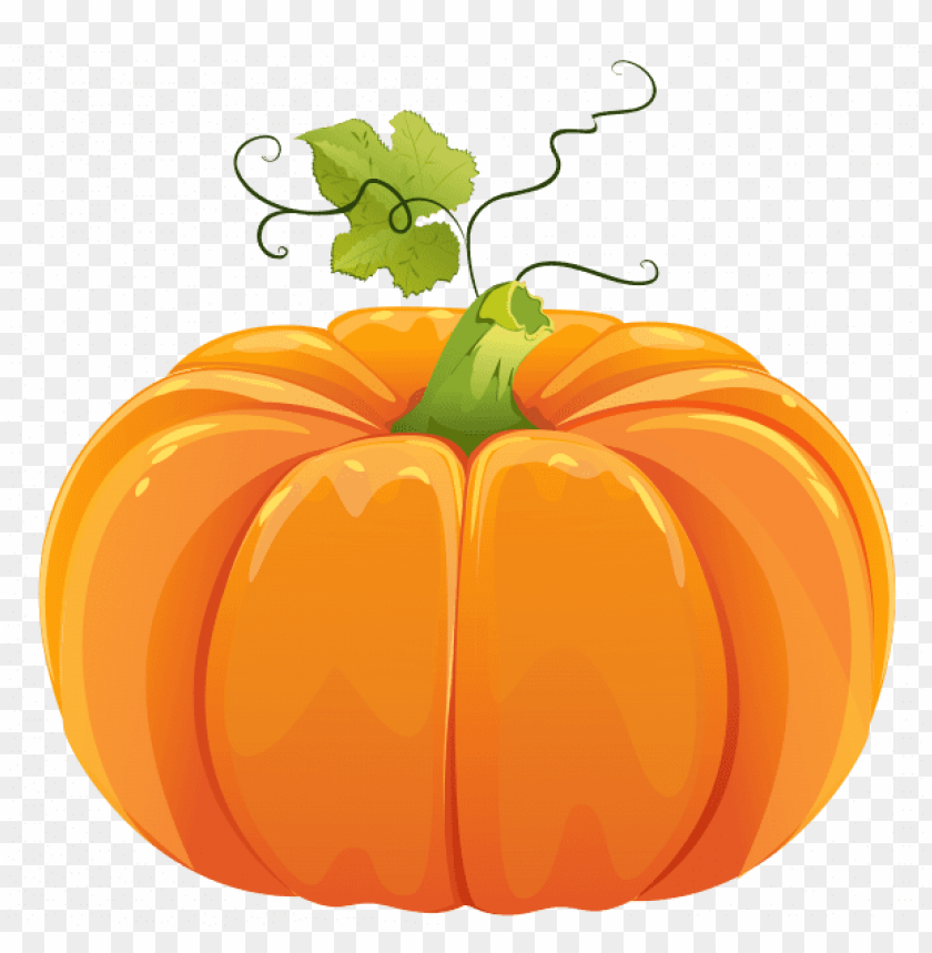 Detail Pumpkins Transparent Background Nomer 4