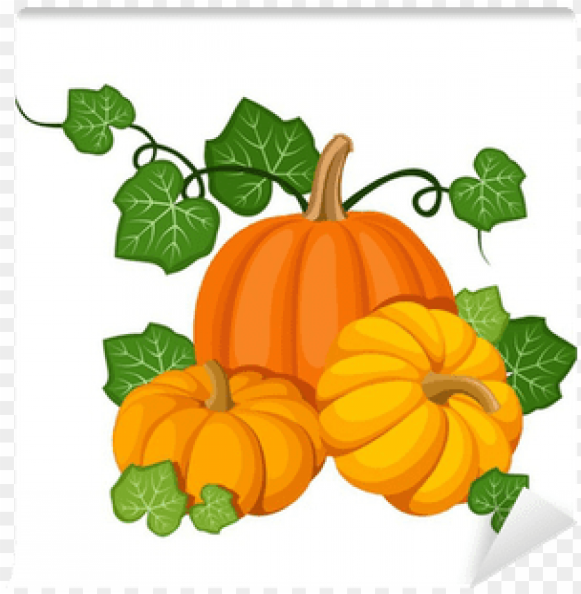 Detail Pumpkins Transparent Background Nomer 41