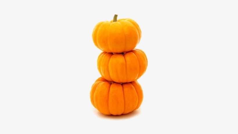 Detail Pumpkins Transparent Background Nomer 47