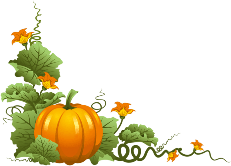 Detail Pumpkins Transparent Background Nomer 48