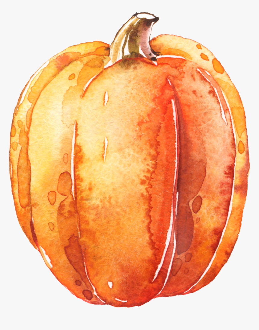 Detail Pumpkins Transparent Background Nomer 51