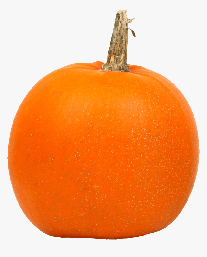 Detail Pumpkins Transparent Background Nomer 6