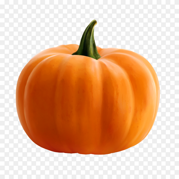 Detail Pumpkins Transparent Background Nomer 8