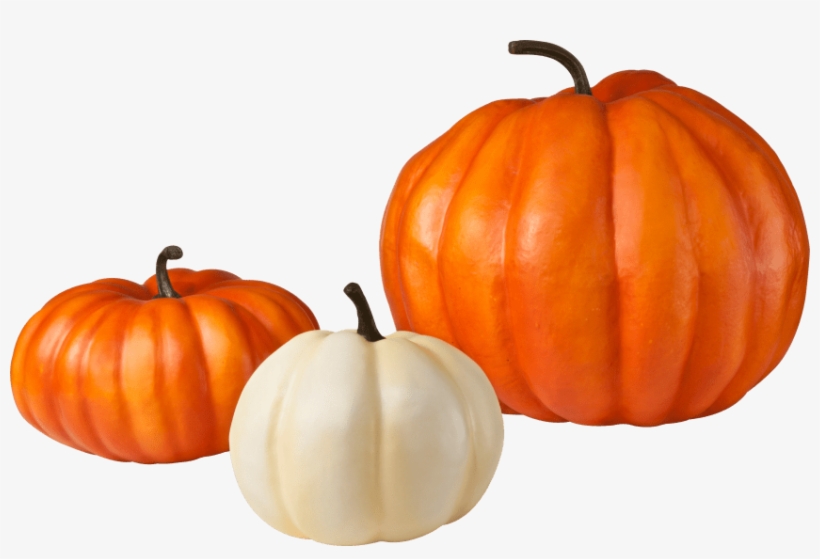 Detail Pumpkins Transparent Background Nomer 9