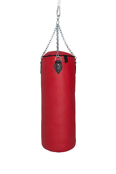 Detail Punching Bag Pic Nomer 43