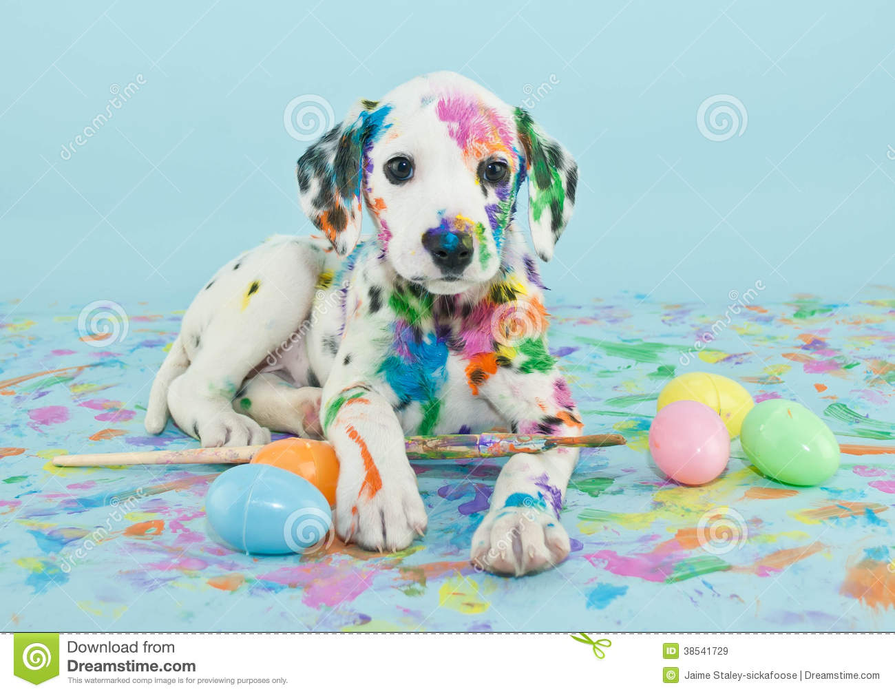 Detail Puppies Pictures Download Nomer 52