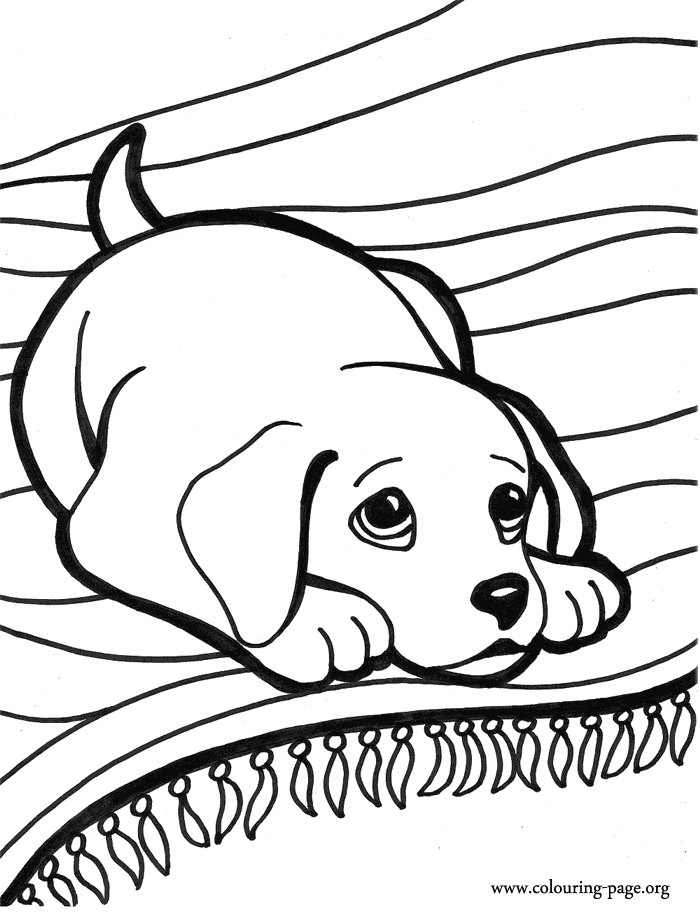 Detail Puppy Colouring Pages Nomer 11