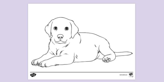 Detail Puppy Colouring Pages Nomer 12