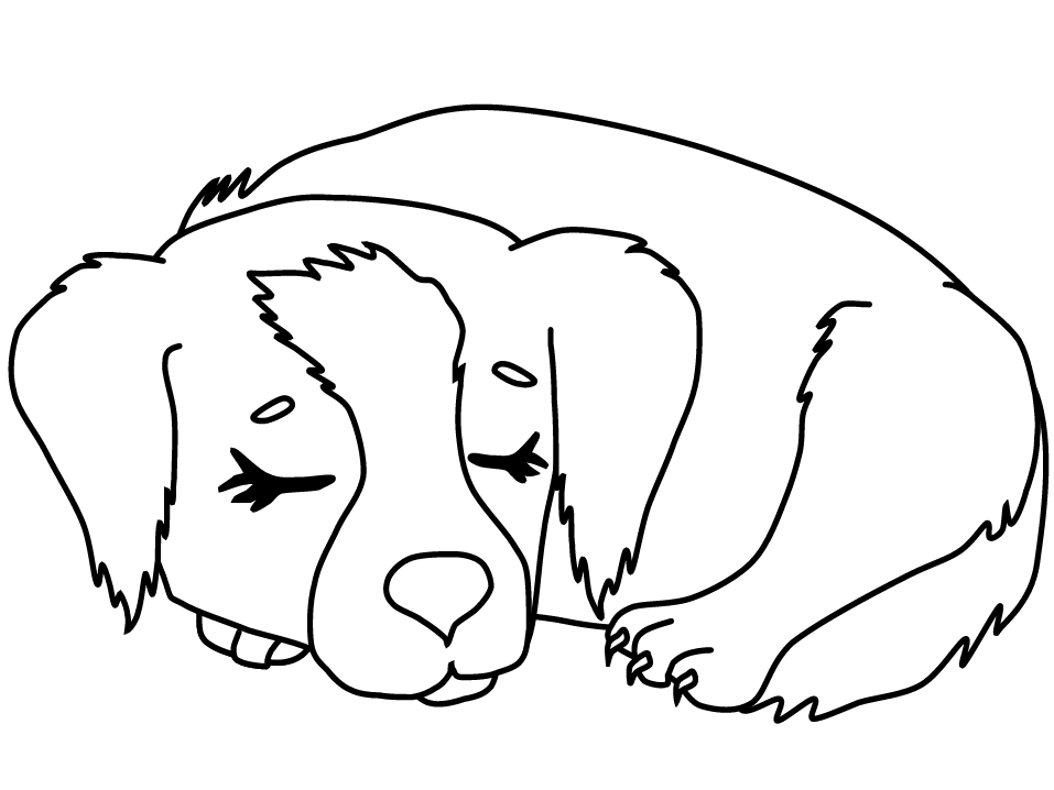 Detail Puppy Colouring Pages Nomer 13