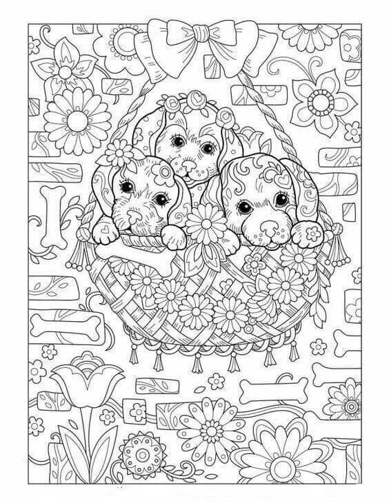 Detail Puppy Colouring Pages Nomer 21