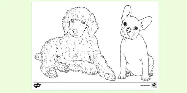 Detail Puppy Colouring Pages Nomer 40