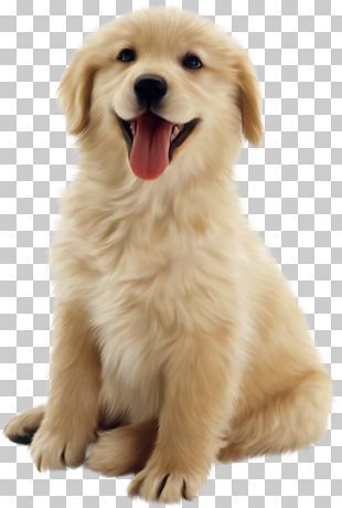 Puppy Dogs Png - KibrisPDR