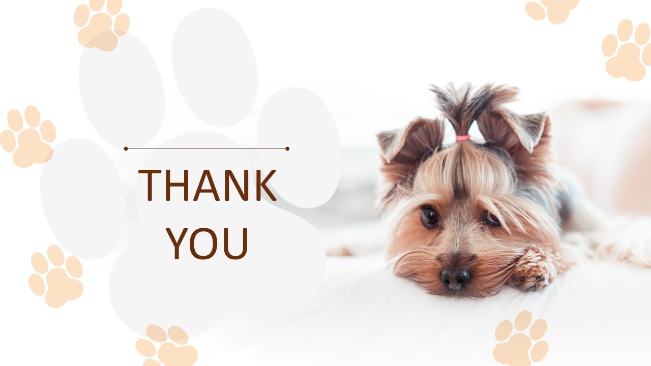 Detail Puppy Images Download Nomer 37