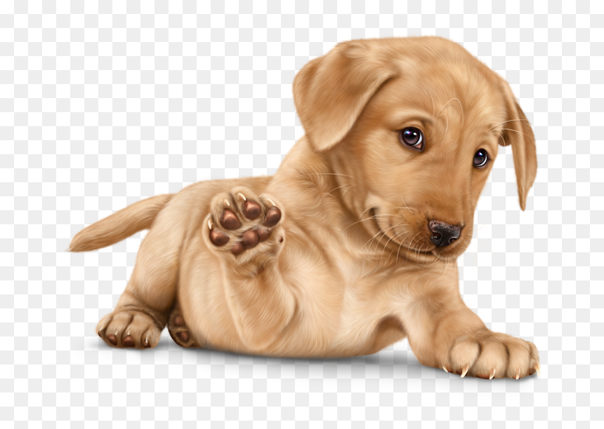 Detail Puppy Png Nomer 14