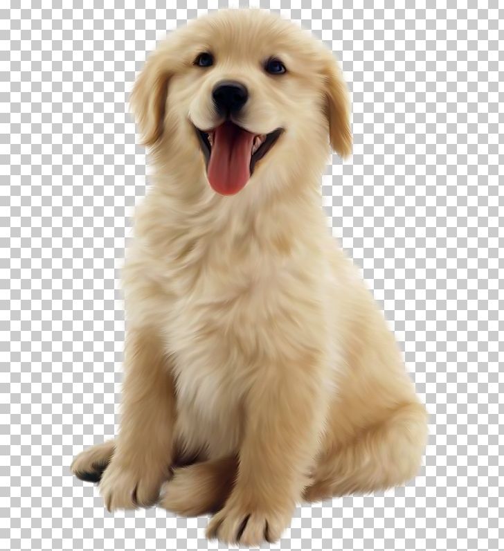 Detail Puppy Png Nomer 16