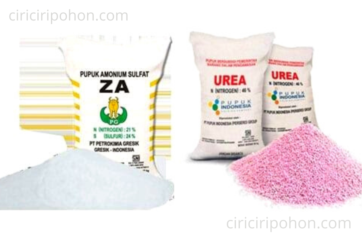 Detail Pupuk Urea Png Nomer 22