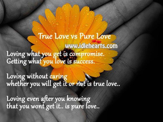 Detail Pure Love Quotes Nomer 36