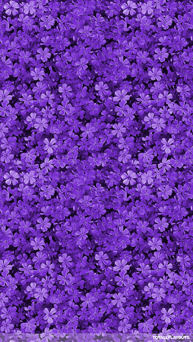 Detail Purple Background Tumblr Nomer 18