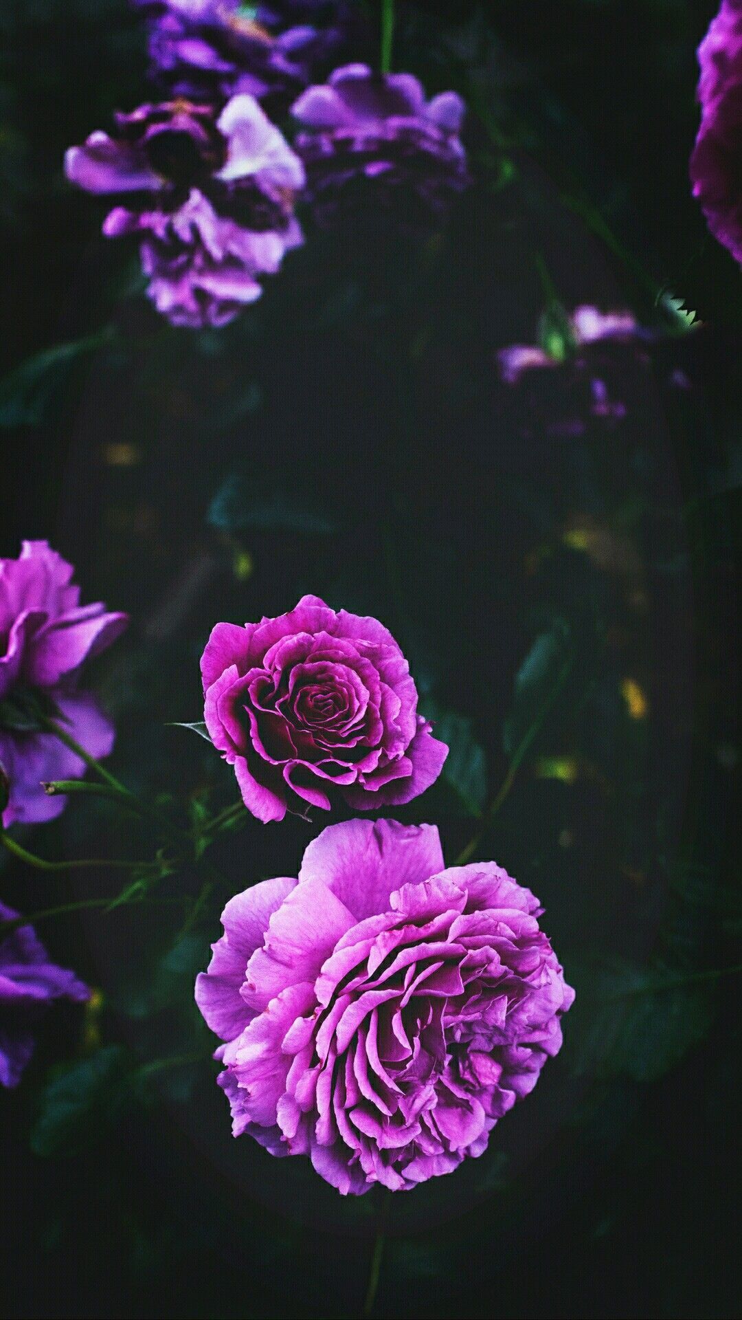 Detail Purple Flower Tumblr Nomer 7