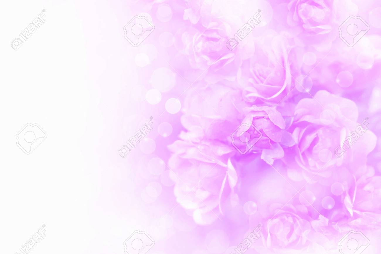 Detail Purple Soft Background Nomer 2