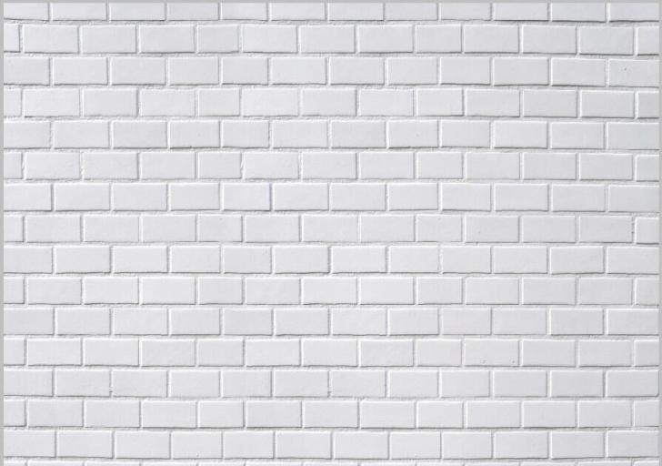 Detail Putih Background Polos Nomer 38