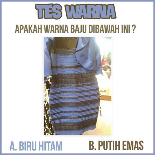 Detail Putih Emas Biru Hitam Nomer 12