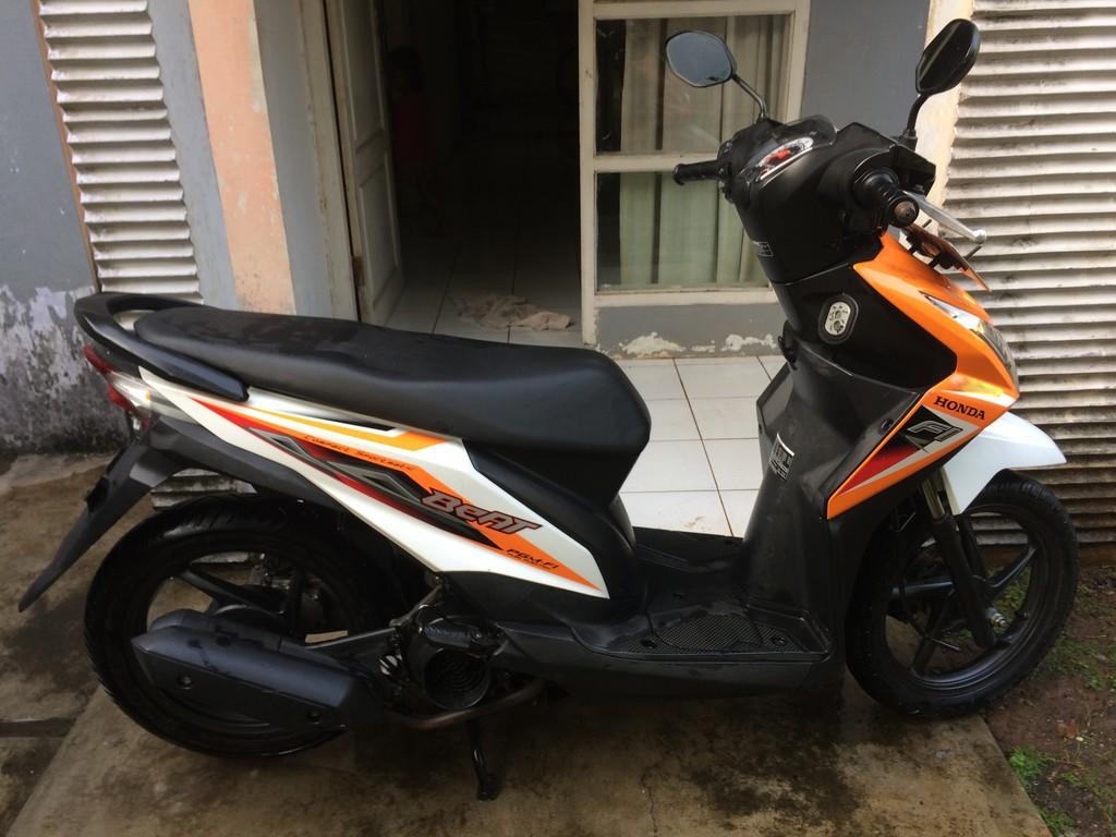 Detail Putih Orange Nomer 11