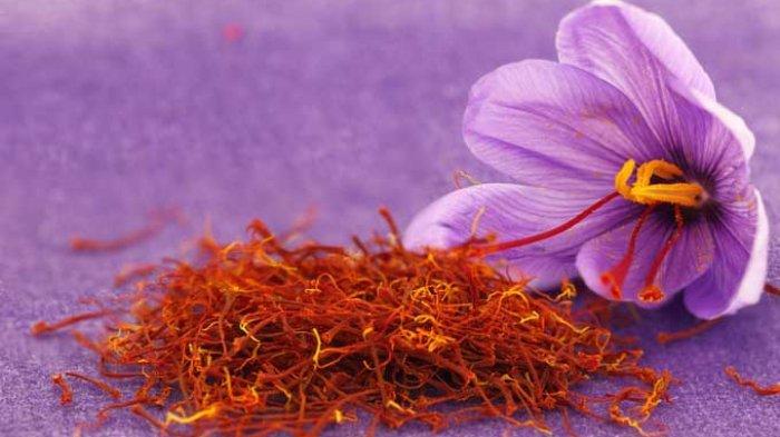 Detail Putik Bunga Saffron Nomer 10