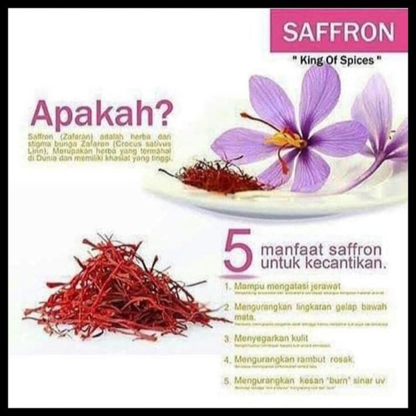 Detail Putik Bunga Saffron Nomer 12