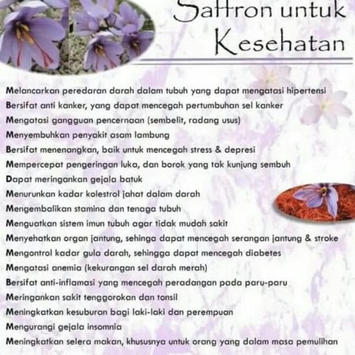 Detail Putik Bunga Saffron Nomer 47