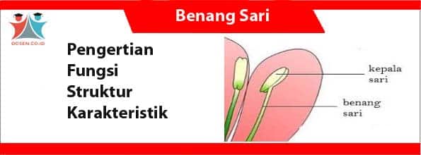 Detail Putik Dan Benang Sari Nomer 48