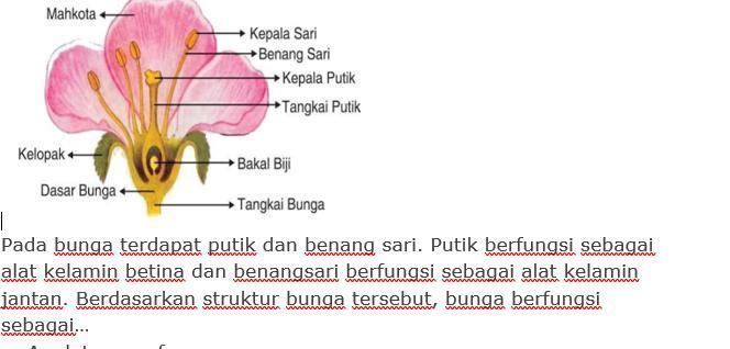 Detail Putik Dan Benang Sari Nomer 8