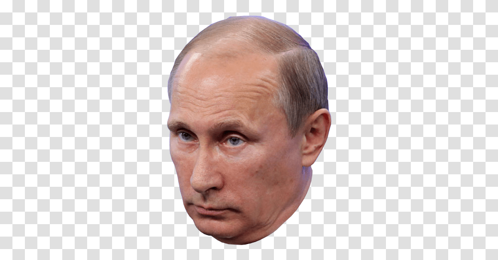 Detail Putin Transparent Nomer 20