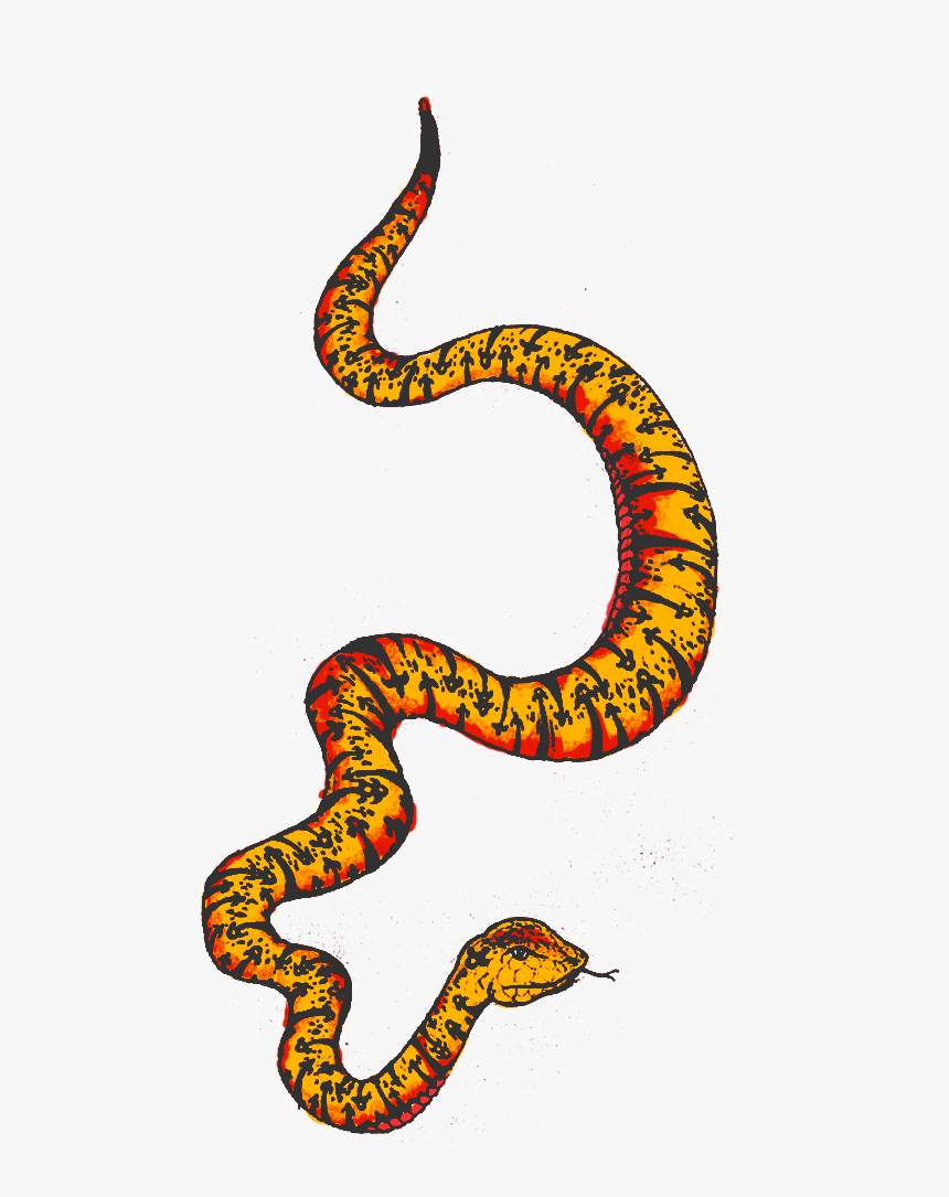 Detail Python Snake Png Nomer 42