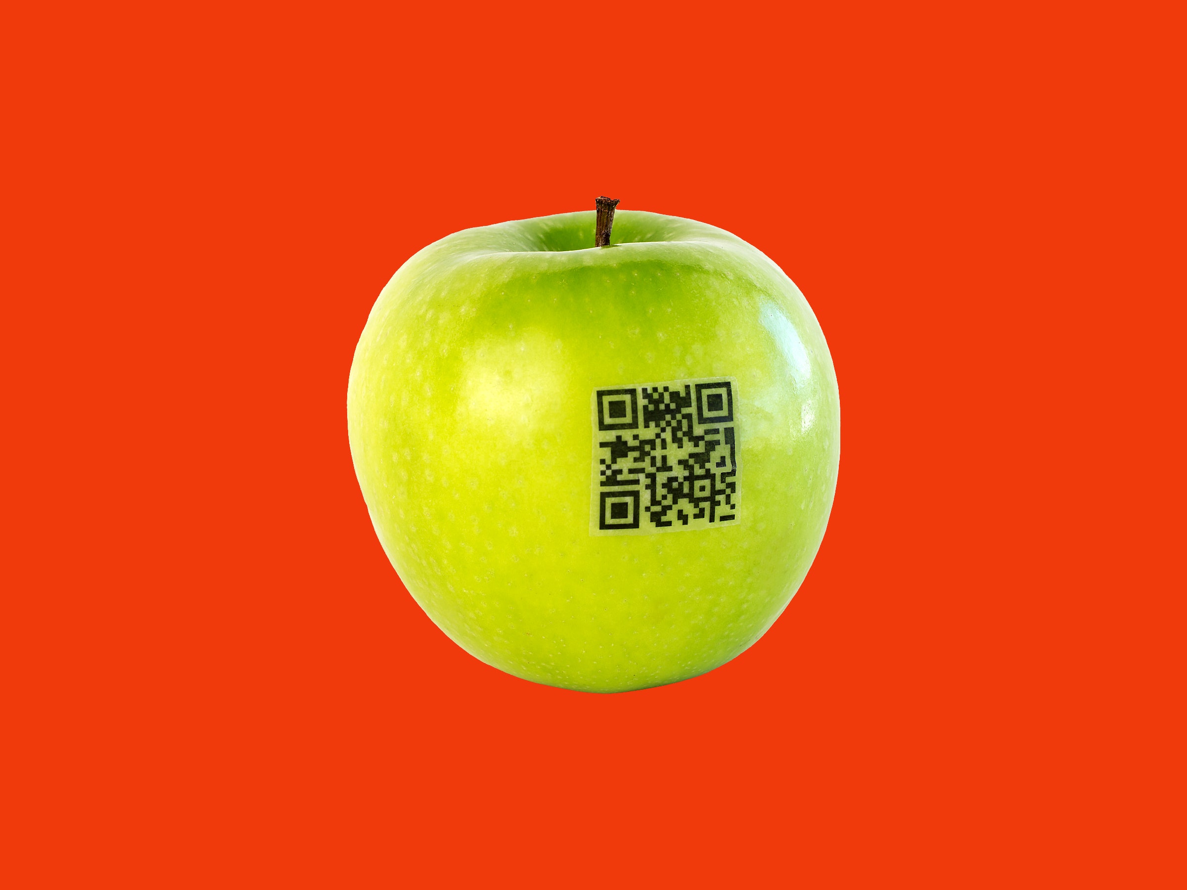 Detail Qr Code For Photos Nomer 42