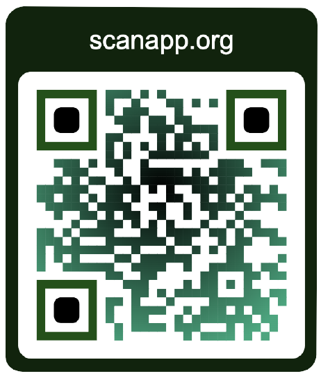 Detail Qr Code From Image Nomer 34
