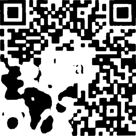 Detail Qr Code High Resolution Nomer 30