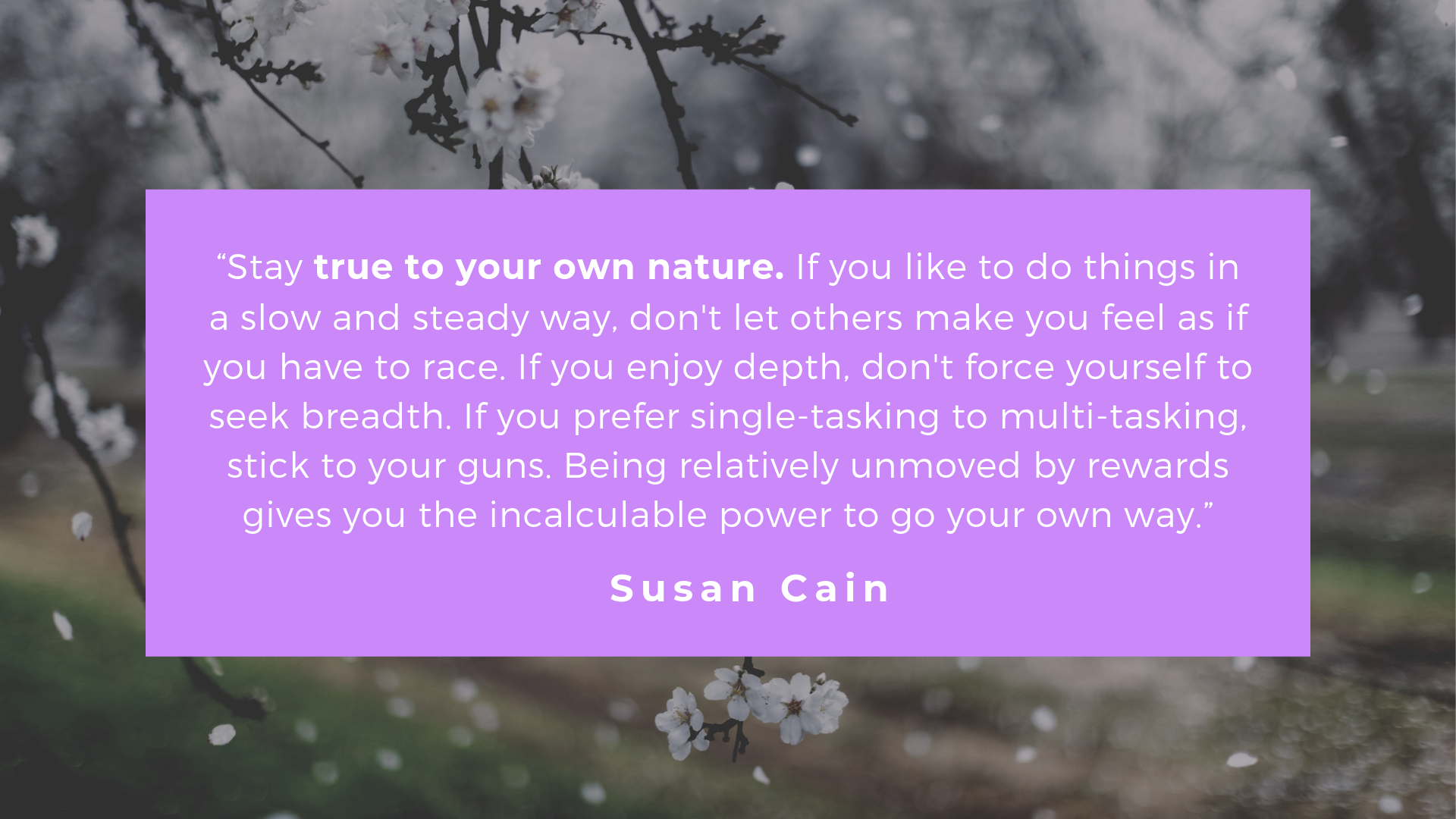 Detail Quiet Quotes Susan Cain Nomer 2