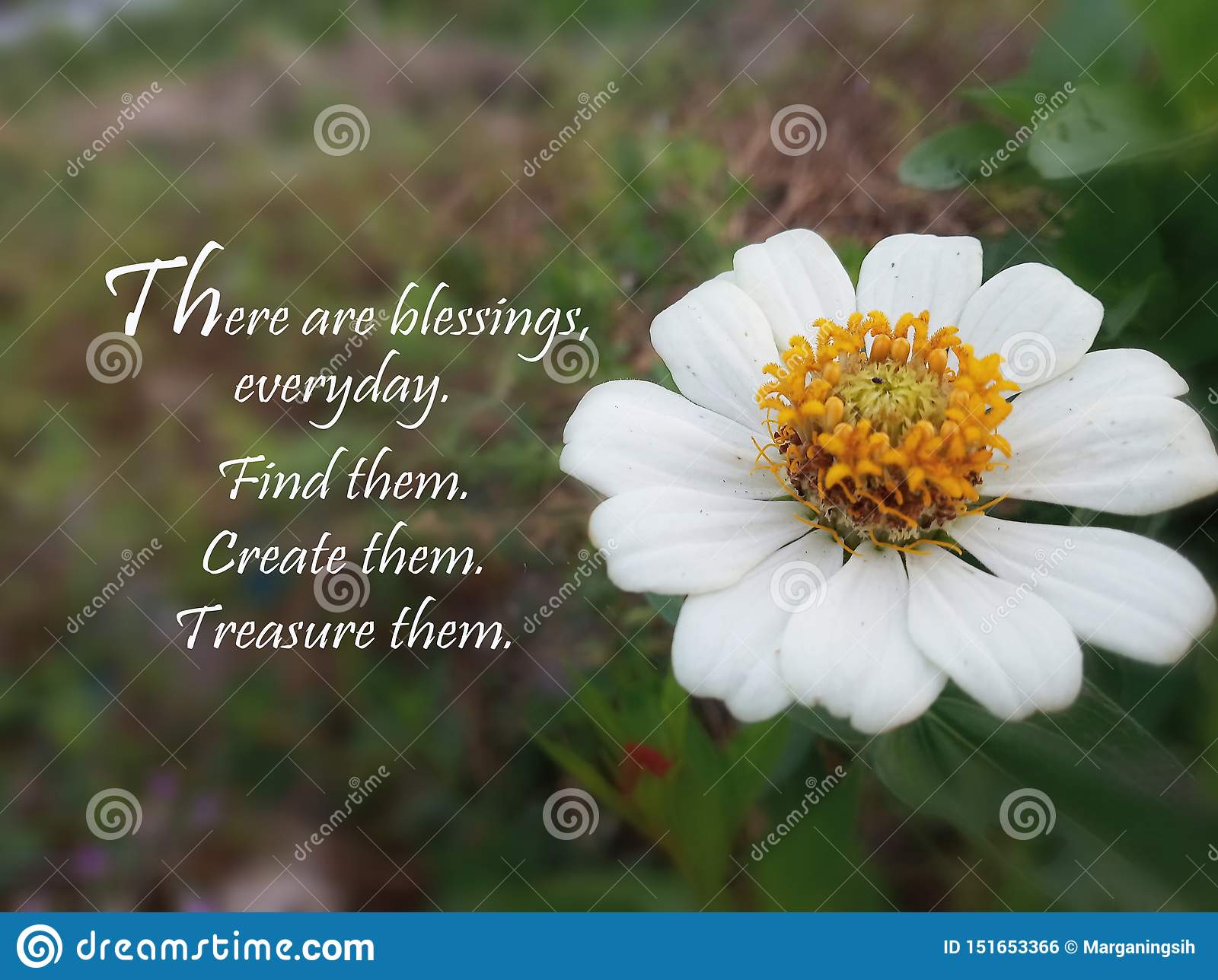 Detail Quotes About Finding Treasure Nomer 29