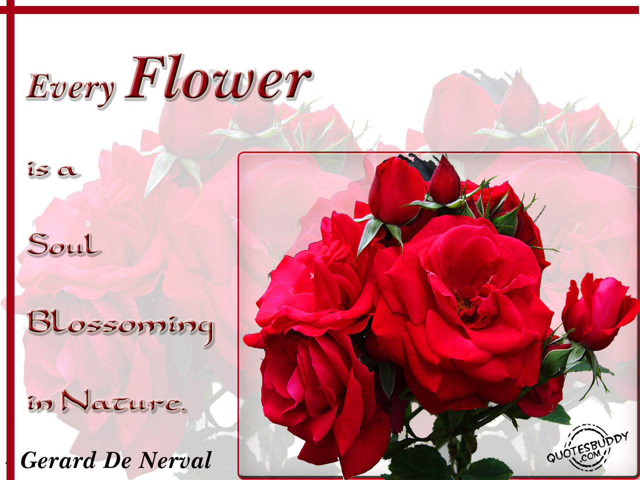 Detail Quotes About Flowers And Family Nomer 30