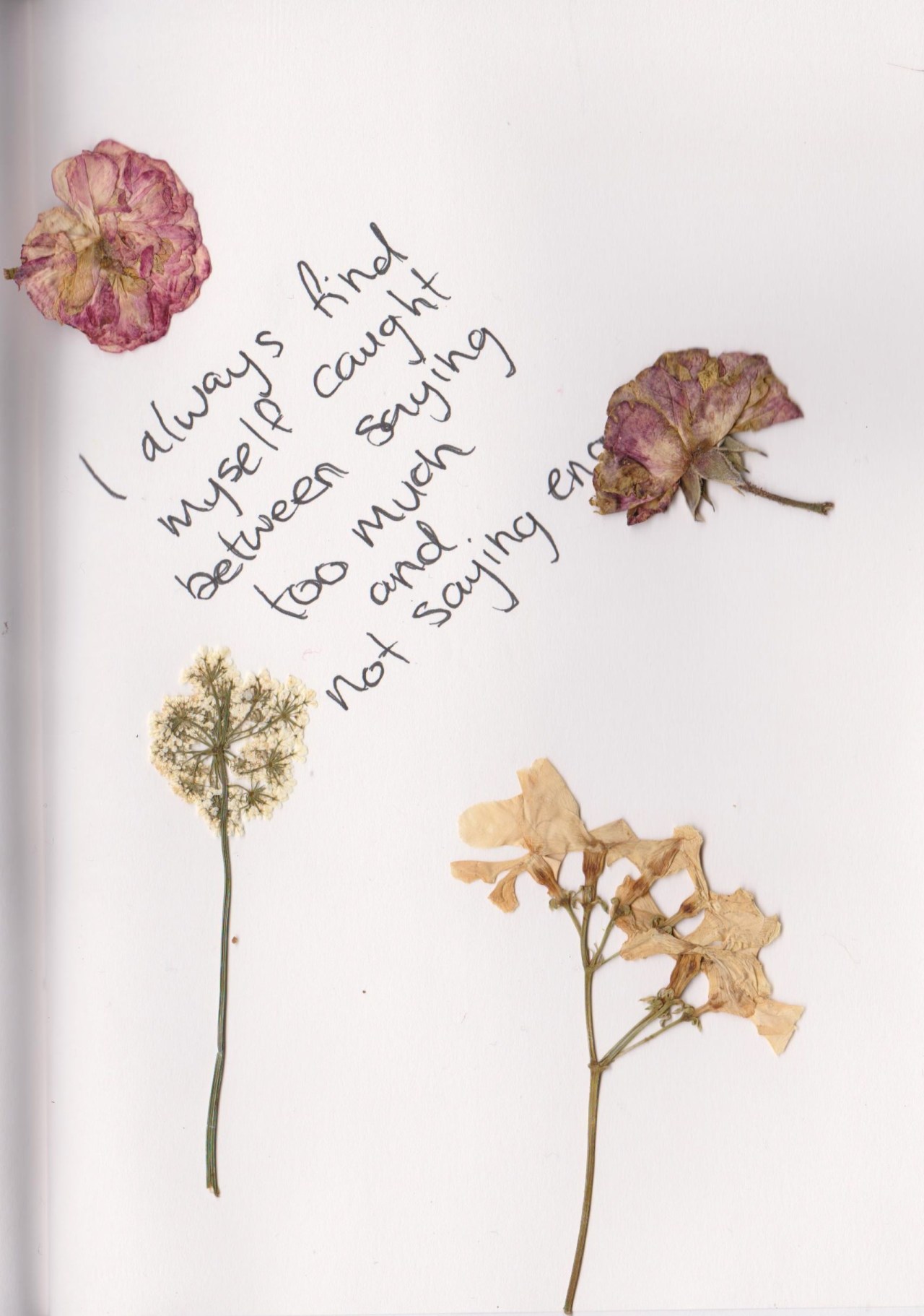 Detail Quotes About Flowers Tumblr Nomer 2
