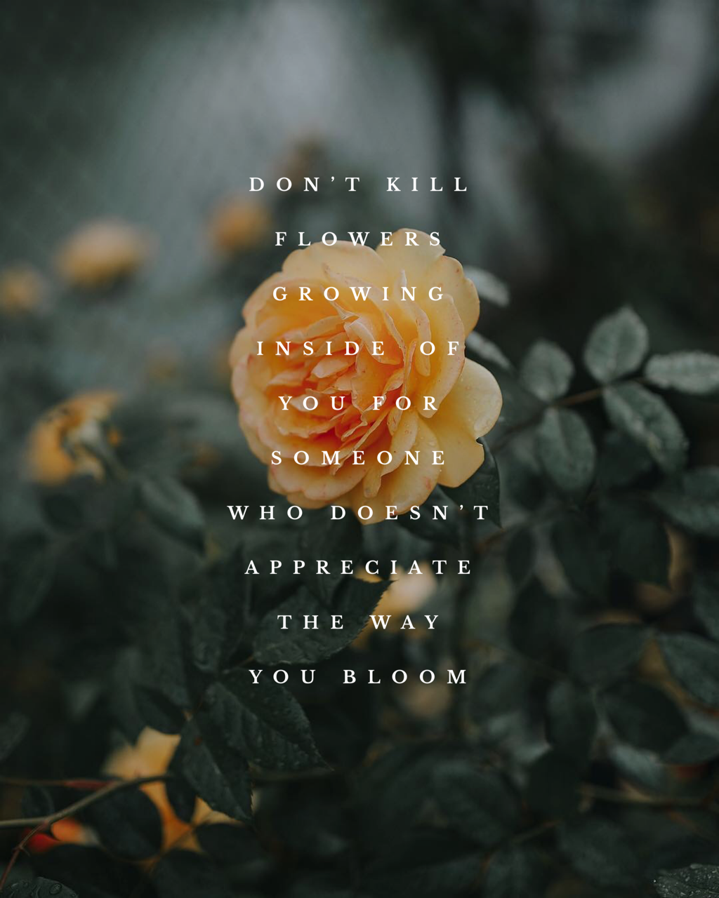 Detail Quotes About Flowers Tumblr Nomer 27