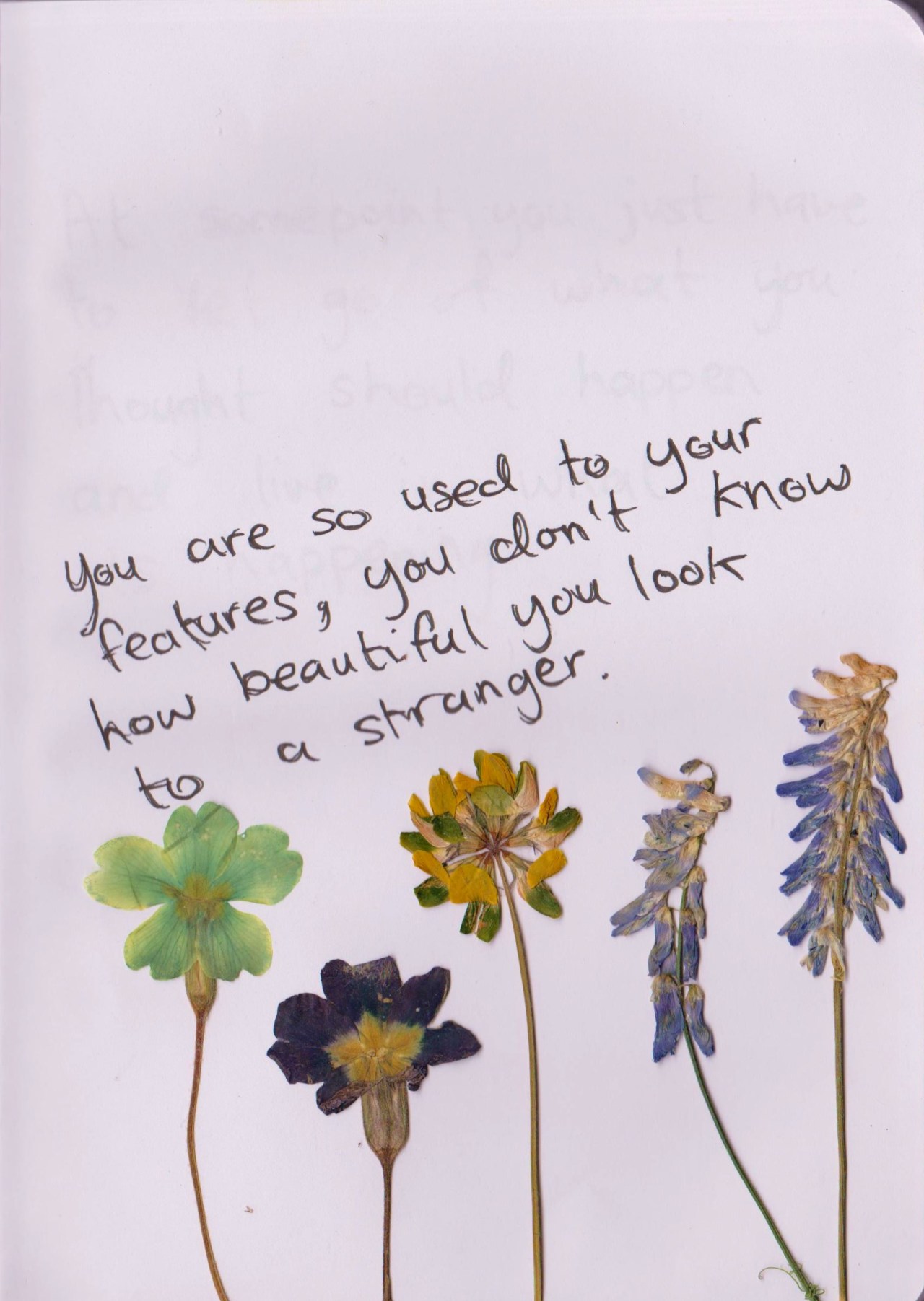 Detail Quotes About Flowers Tumblr Nomer 52