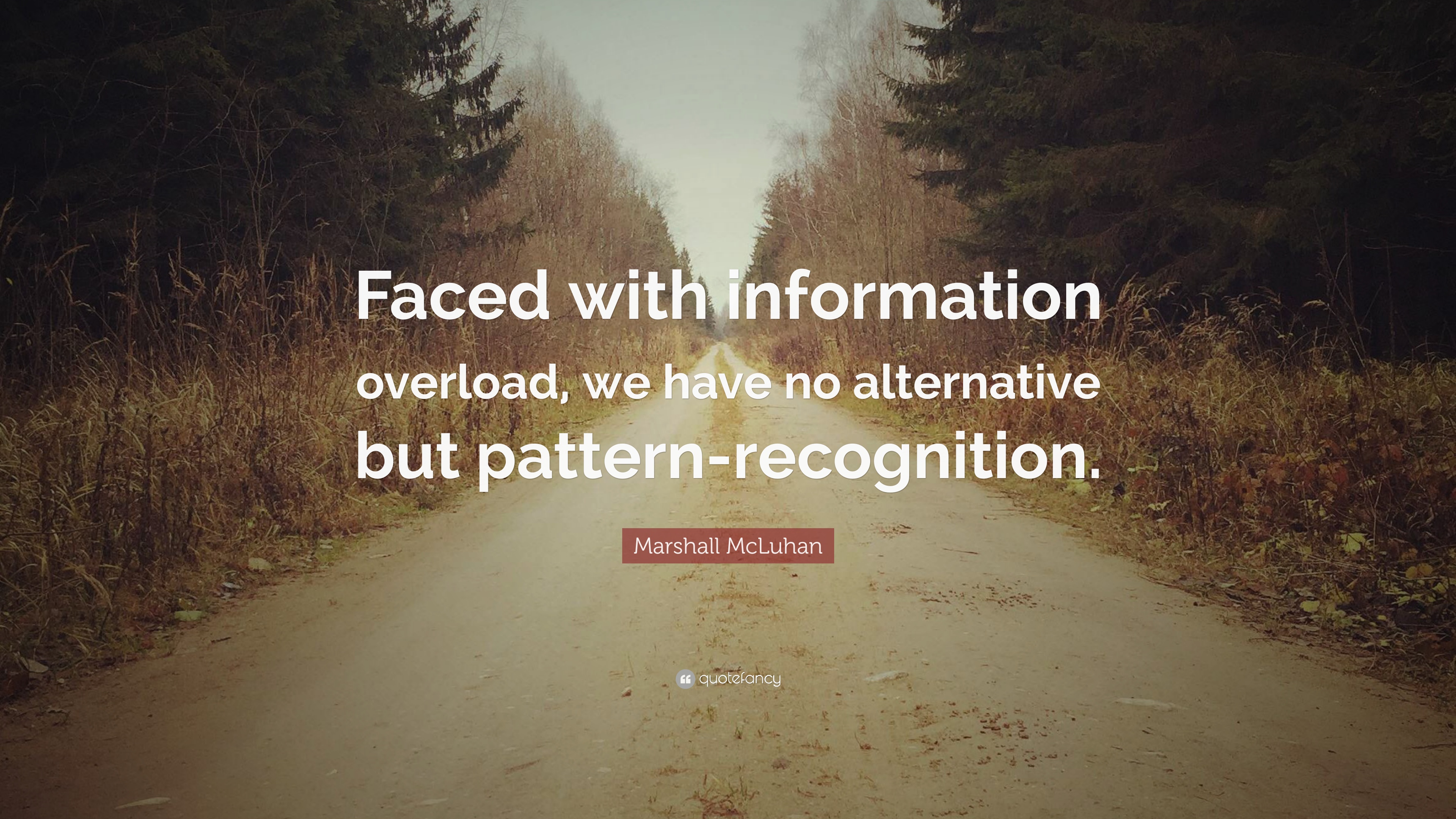 Detail Quotes About Information Overload Nomer 4