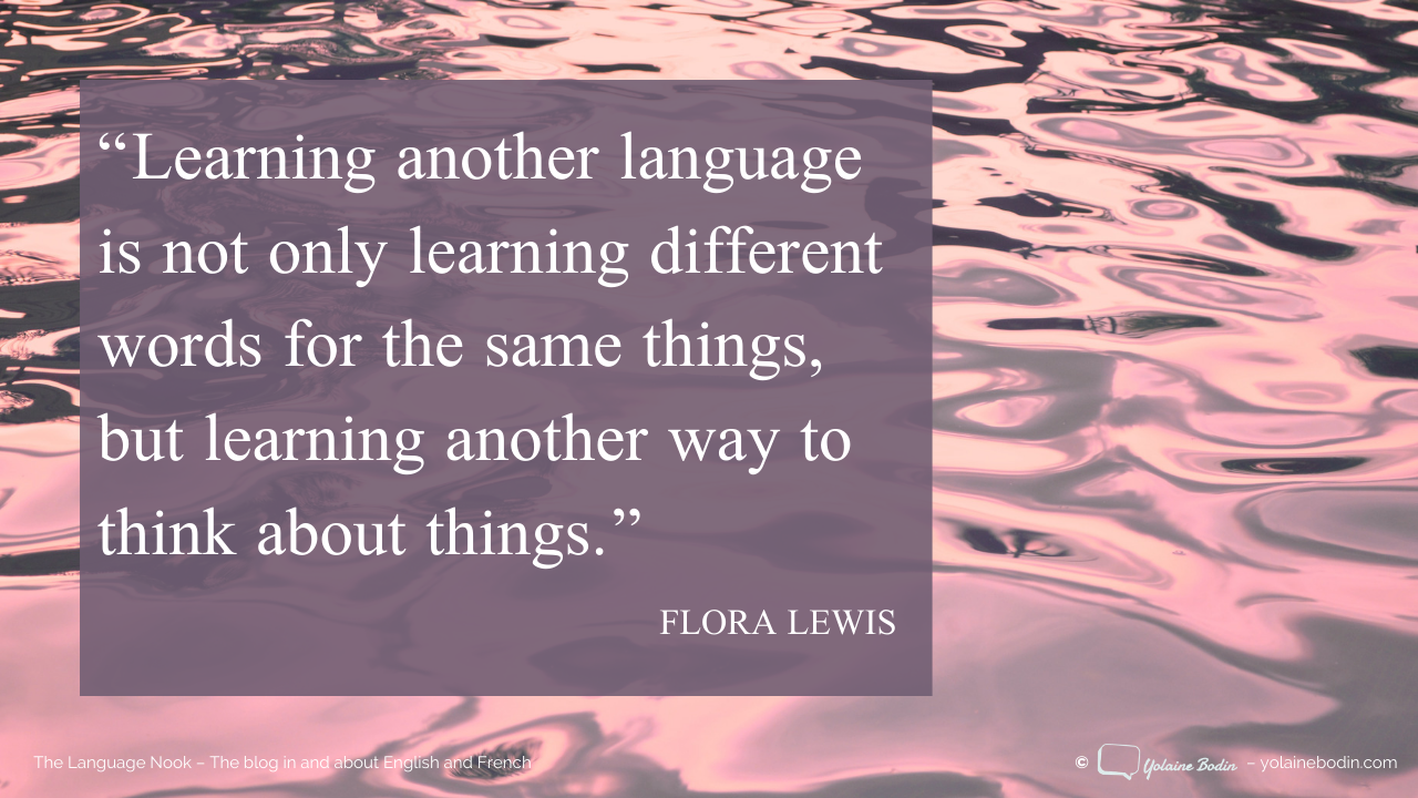 Detail Quotes About Learning New Things Nomer 47