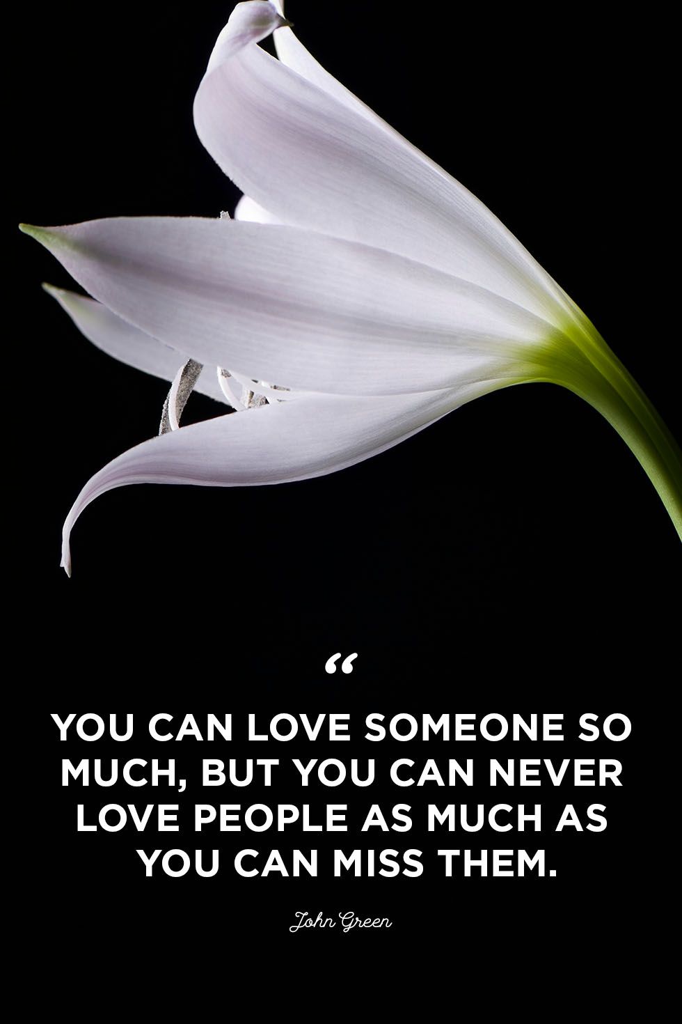 Detail Quotes About Loving Someone Nomer 22